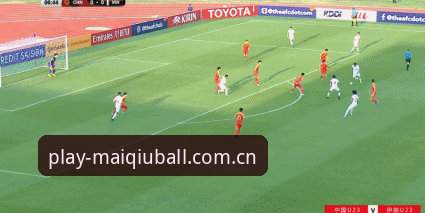 中国足球未来之星亮相在即，买球赛场动态必备指南
